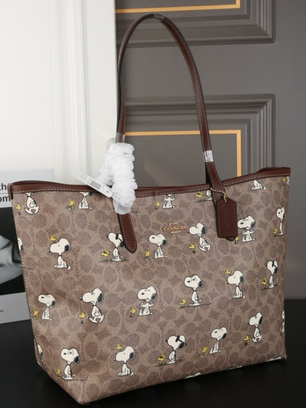 COACH x Peanuts Snoopy Collaboration